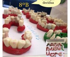 dentição