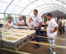 Reunião com direção das APAEs.